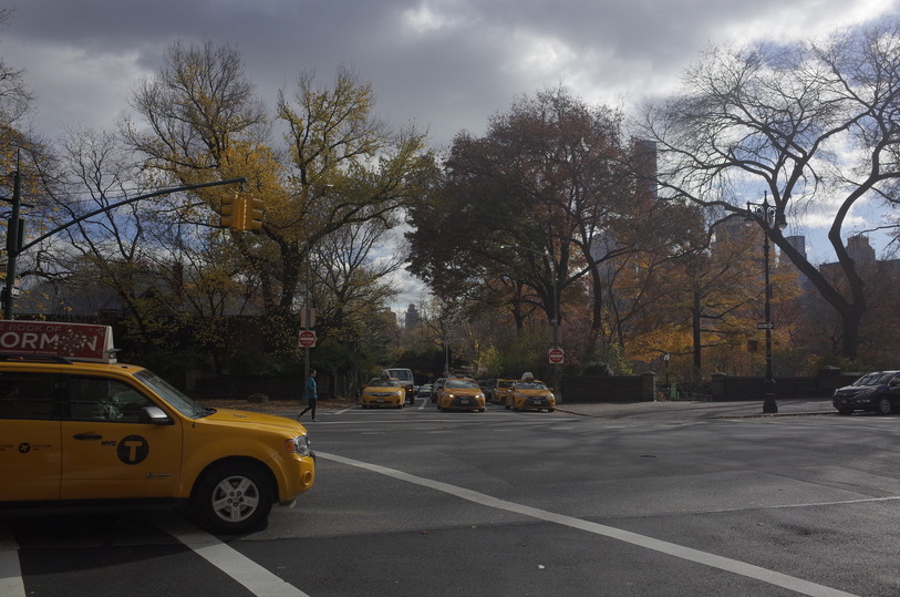 Autumn in Central Park