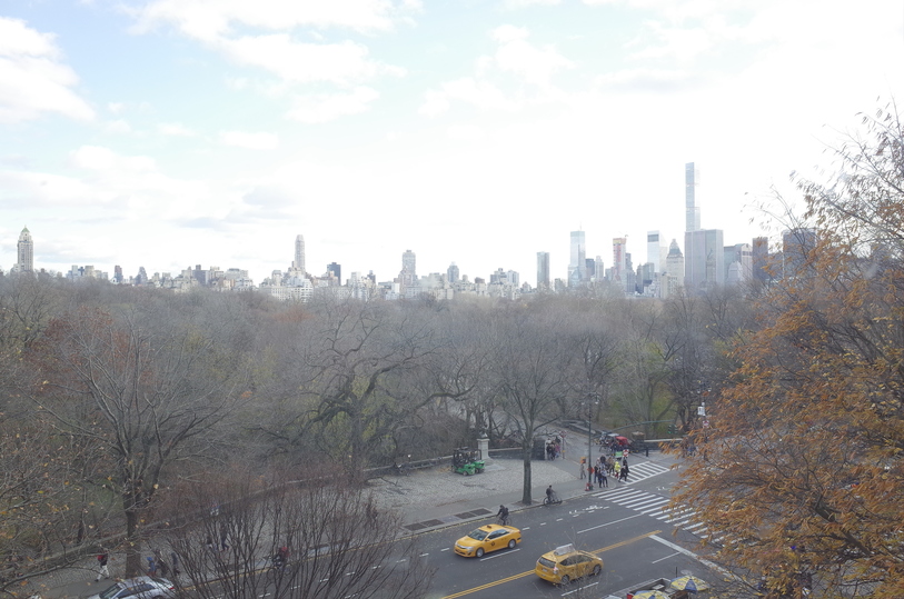 Skyline Viewed from Inside the Museum of Natural History